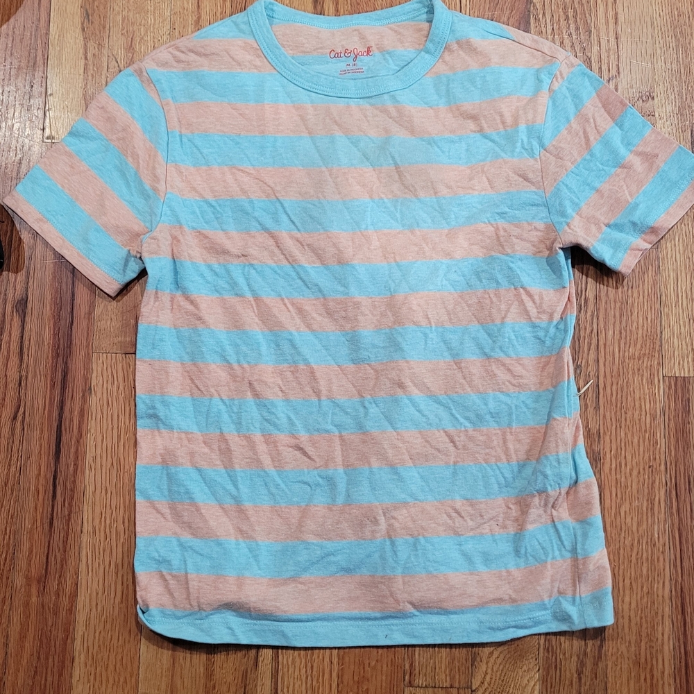 Cat & Jack Men's Striped Tee in Sky Blue & Peach